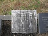image of grave number 235023